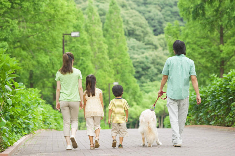 东方人,儿童,四个人,家庭,夫妻,母亲,父亲,女儿,儿子,走,横图,室外,白天,爱情,旅游,度假,纯洁,美景,树林,植物,道路,路,路灯,公路,照明,亚洲,一排,握,服装,朦胧,模糊,整齐,景观,灯光,交通,浪漫,拿,拿着,休闲装,黄种人,娱乐,金毛犬,灯,树,树木,排列,一只,小孩,背面,衣服,绿色,自然,绳子,享受,休闲,温暖,温馨,父女,父子,母女,母子,一家人,休闲服,景色,恩爱,放松,父爱,可爱,母爱,童年,童趣,握着,恋人,服饰,金毛,生长,成长,绳索,照亮,和睦,照明设备,队列,自然风光,寻回犬,童真,烂漫,无邪,金毛寻回犬,天真,男孩,男人,男性,年轻男性,年轻女性,女孩,女人,女性,亚洲人,孩子,年轻人,夫妇,情侣,马路,步行,散步,走路,彩图,全身,伴侣,融洽,男生,女生