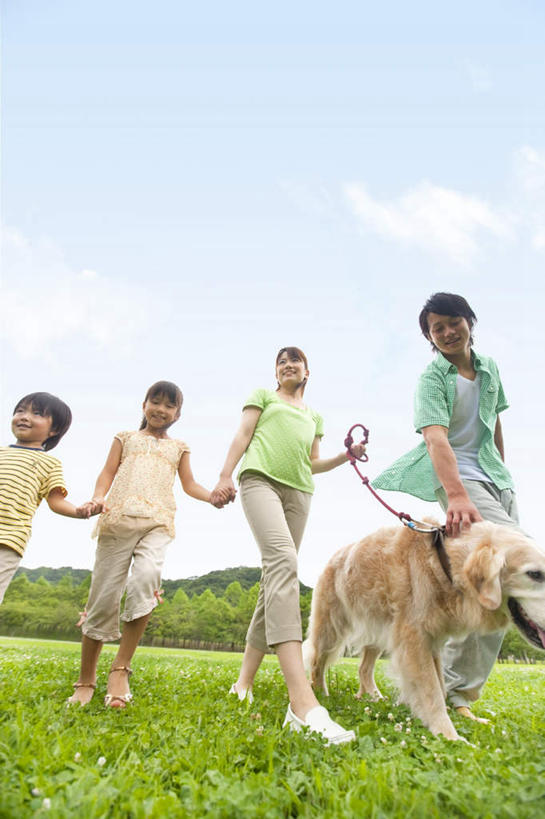 儿童,四个人,家庭,夫妻,母亲,父亲,女儿,儿子,走,笑,微笑,露齿笑,竖图,室外,白天,仰视,爱情,纯洁,草地,草坪,植物,宠物,狗,一排,牵,握,朦胧,模糊,整齐,云,云朵,浪漫,拿,云彩,拿着,金毛犬,草,排列,小孩,蓝色,绿色,白云,蓝天,天空,动物,天,温暖,温馨,父女,父子,母女,母子,一家人,恩爱,父爱,可爱,母爱,童年,童趣,握着,恋人,金毛,晴朗,牵着,和睦,队列,寻回犬,童真,烂漫,无邪,金毛寻回犬,忠诚,金毛狗,金毛寻回狗,寻回狗,天真,男孩,男人,男性,年轻男性,年轻女性,女孩,女人,女性,孩子,年轻人,夫妇,情侣,晴空,犬,步行,散步,走路,半身,彩图,低角度拍摄,伴侣,融洽,男生,女生
