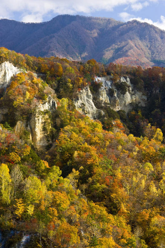 无人,竖图,俯视,航拍,室外,白天,旅游,度假,美景,山,山脉,树林,植物,日本,亚洲,朦胧,模糊,景观,山峰,云,云朵,山峦,云彩,娱乐,树,树木,蓝色,绿色,白云,蓝天,天空,自然,群山,天,享受,休闲,景色,放松,生长,晴朗,成长,鸟瞰,自然风光,东亚,本州,本州岛,日本国,青森,青森县,东北地方,晴空,彩图,高角度拍摄