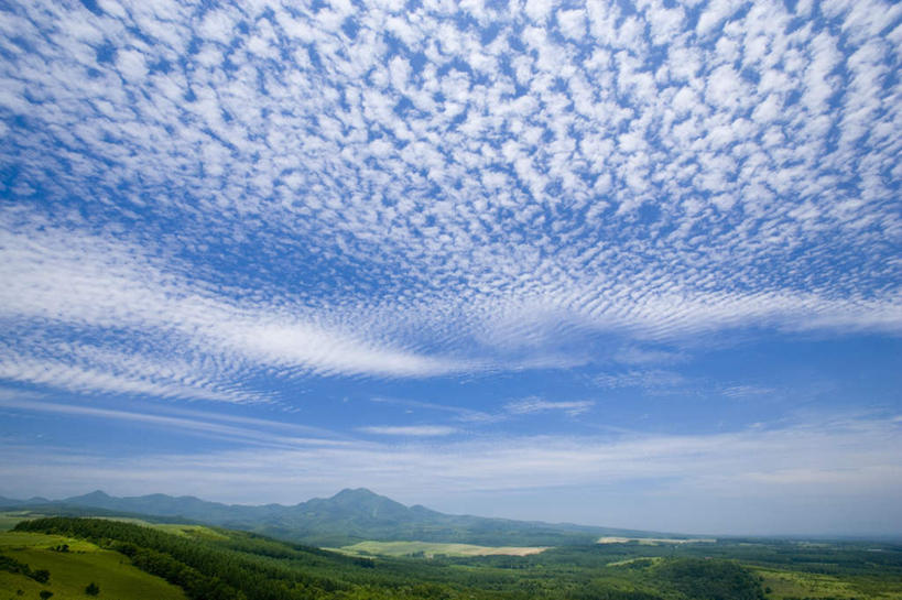 无人,横图,室外,白天,仰视,旅游,度假,美景,山,山脉,树林,植物,北海道,日本,亚洲,朦胧,模糊,景观,山峰,云,云朵,山峦,云彩,娱乐,树,树木,蓝色,绿色,白云,蓝天,天空,自然,群山,天,享受,休闲,景色,放松,生长,晴朗,成长,自然风光,东亚,日本国,北海道地方,北海道岛,晴空,彩图,低角度拍摄