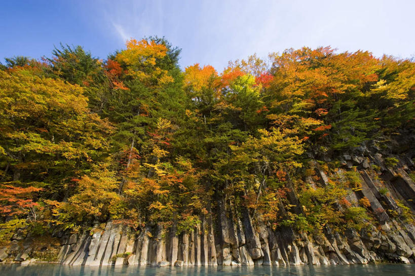 无人,横图,室外,白天,仰视,旅游,度假,美景,秋季,树林,植物,日本,亚洲,朦胧,模糊,景观,云,云朵,云彩,娱乐,树,树木,蓝色,绿色,白云,蓝天,天空,自然,天,享受,休闲,景色,放松,生长,晴朗,成长,自然风光,东亚,本州,本州岛,日本国,岩手,岩手县,东北地方,晴空,秋,秋天,彩图,低角度拍摄