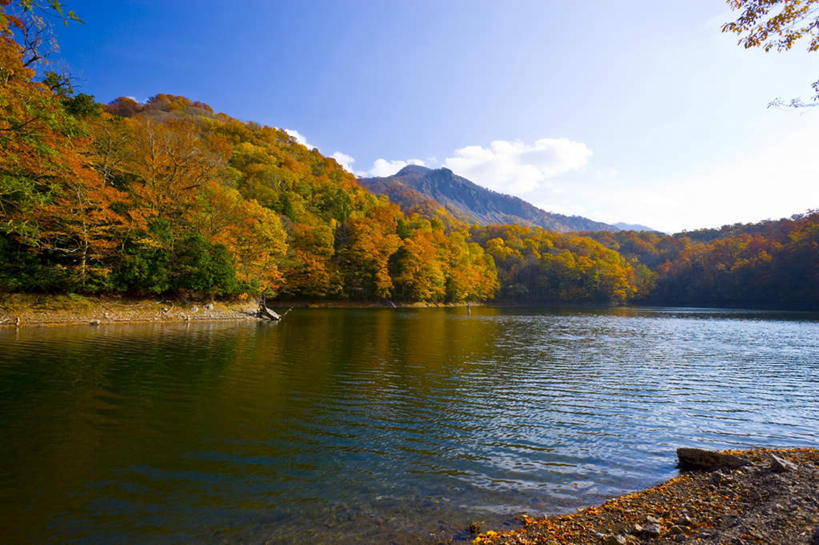 无人,横图,室外,白天,正面,旅游,度假,湖,湖泊,美景,秋季,山,山脉,树林,水,植物,日本,亚洲,阴影,朦胧,模糊,反射,影子,湖面,景观,山峰,水流,水面,云,云朵,山峦,云彩,娱乐,树,树木,蓝色,绿色,白云,蓝天,天空,自然,湖水,群山,天,享受,休闲,景色,放松,生长,晴朗,成长,自然风光,东亚,本州,本州岛,日本国,青森,青森县,东北地方,晴空,秋,秋天,彩图