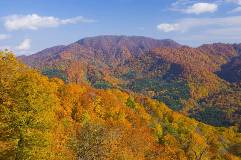 无人,横图,俯视,航拍,室外,白天,旅游,度假,美景,森林,山,山脉,树林,植物,日本,亚洲,阴影,朦胧,模糊,光线,影子,景观,山峰,云,云朵,山峦,云彩,娱乐,树,树木,蓝色,绿色,白云,蓝天,天空,阳光,自然,群山,天,享受,休闲,景色,放松,生长,晴朗,成长,鸟瞰,自然风光,东亚,本州,本州岛,日本国,青森,青森县,东北地方,晴空,彩图,高角度拍摄