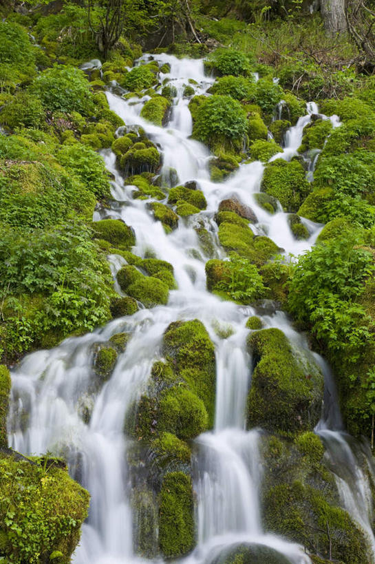 无人,竖图,室外,白天,仰视,旅游,度假,美景,瀑布,水,植物,日本,亚洲,许多,飞溅,湍急,溅,液体,景观,水滴,苔藓,娱乐,水珠,绿色,自然,享受,休闲,景色,放松,喷洒,自然风光,东亚,本州,本州岛,日本国,东北地方,福岛,福岛县,跌水,彩图,低角度拍摄