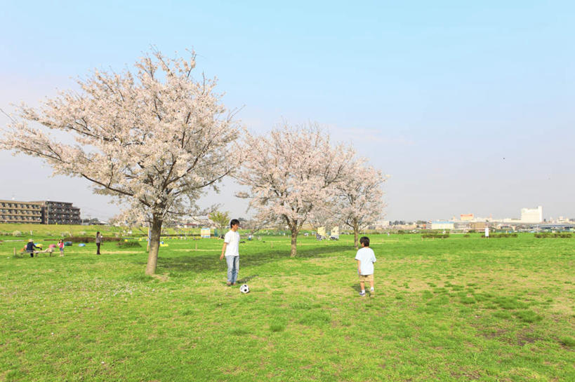 东方人,儿童,背部,家庭,父亲,儿子,家,站,横图,室外,白天,正面,旅游,度假,纯洁,足球,草地,草坪,花海,花圃,美景,植物,别墅,城市风光,城市,建筑,樱花,叶子,东京,日本,亚洲,许多,踢,阴影,盛开,光线,影子,房屋,屋子,景观,云,云朵,公寓,樱花树,足球装备,两颗,花蕾,云彩,黄种人,娱乐,运动器械,建设,洋房,楼房,住宅,草,花,花瓣,花朵,花卉,鲜花,树,树木,小孩,粉色,蓝色,绿色,白云,蓝天,天空,阳光,自然,花丛,花束,花田,天,花苞,花蕊,站着,享受,休闲,温暖,温馨,父子,一家人,健身器械,景色,放松,父爱,可爱,童年,童趣,生长,晴朗,成长,和睦,健身器材,童真,东亚,烂漫,无邪,本州,关东地方,本州岛,日本国,东京都,仙樱花,福岛樱,青肤樱,蹴鞠,天真,足球运动,男孩,男人,男性,年轻男性,亚洲人,孩子,年轻人,晴空,荆桃,站立,彩图,全身,房子,融洽,运动器材,男生