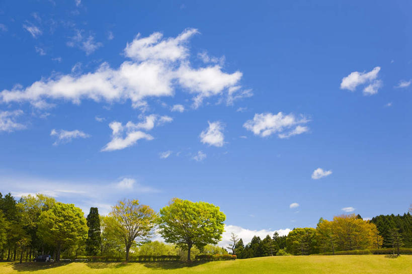 无人,横图,室外,白天,正面,旅游,度假,草地,草坪,美景,树林,植物,日本,亚洲,阴影,朦胧,模糊,光线,影子,景观,云,云朵,云彩,娱乐,草,树,树木,蓝色,绿色,白云,蓝天,天空,阳光,自然,天,享受,休闲,景色,放松,生长,晴朗,成长,自然风光,东亚,本州,关东地方,本州岛,日本国,栃木,栃木县,晴空,彩图