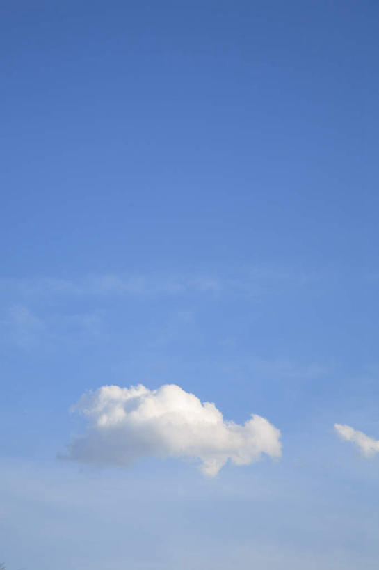 无人,竖图,室外,白天,仰视,旅游,度假,美景,东京,日本,亚洲,朦胧,模糊,景观,云,云朵,云彩,娱乐,蓝色,白云,蓝天,天空,自然,天,享受,休闲,景色,放松,晴朗,自然风光,东亚,本州,关东地方,本州岛,日本国,东京都,晴空,彩图,低角度拍摄