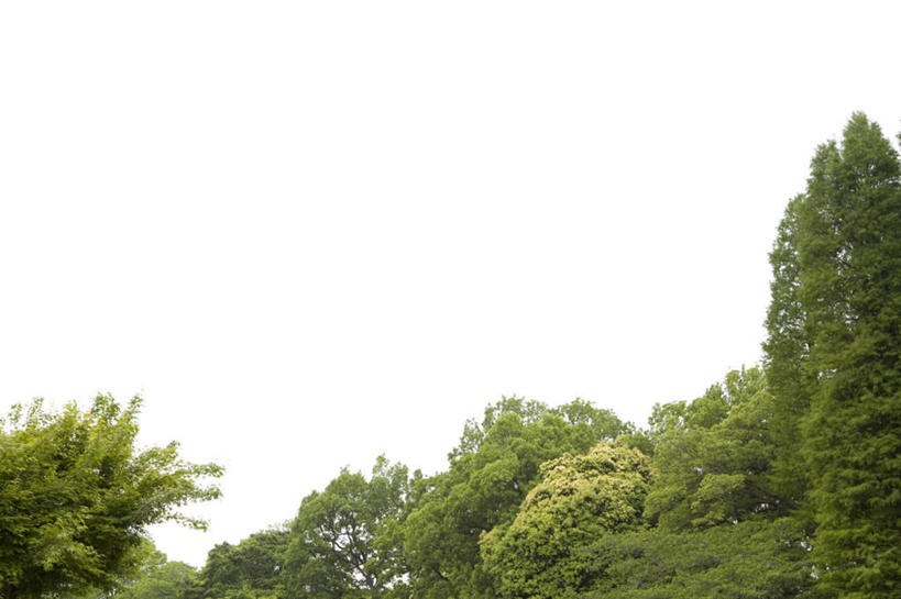 无人,横图,室外,白天,仰视,旅游,度假,美景,树林,植物,景观,娱乐,树,树木,蓝色,绿色,蓝天,天空,自然,天,享受,休闲,景色,放松,生长,晴朗,成长,自然风光,万里无云,晴空,晴空万里,彩图,低角度拍摄