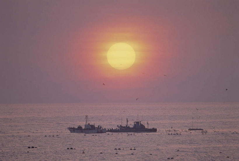 无人,横图,室外,白天,正面,旅游,度假,日出,海浪,海洋,美景,太阳,船,日本,亚洲,景观,浪花,水平线,辽阔,木船,朝霞,晨曦,海平线,黎明,千叶县,娱乐,蓝色,蓝天,天空,阳光,自然,海水,交通工具,天,享受,休闲,广阔,景色,放松,晴朗,一望无际,舟,自然风光,载具,海景,东亚,本州,万里无云,关东地方,本州岛,日本国,千叶,无边无际,一马平川,大海,风浪,海,海水的波动,近岸浪,涌浪,朝阳,晴空,晴空万里,彩图,破晓,水天相接,水天一线