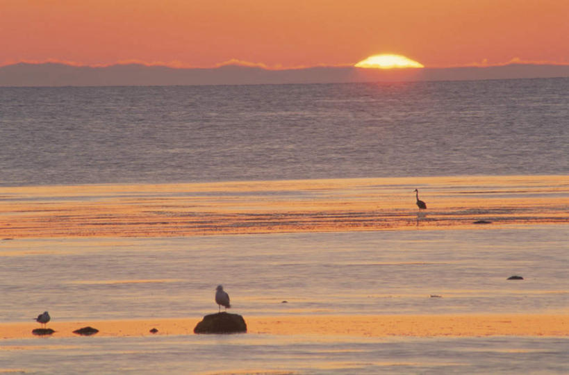 无人,站,横图,室外,白天,正面,旅游,度假,日出,海浪,海洋,礁石,石头,美景,沙滩,太阳,海鸟,海鸥,鸟,北海道,日本,亚洲,鸟类,沙子,石子,海岸,景观,浪花,水平线,辽阔,朝霞,晨曦,海平线,黎明,沙地,娱乐,蓝色,蓝天,天空,阳光,自然,海水,天,站着,享受,休闲,广阔,景色,放松,晴朗,一望无际,自然风光,海景,东亚,万里无云,日本国,北海道地方,北海道岛,无边无际,一马平川,大海,风浪,海,海水的波动,海滩,礁,近岸浪,石块,岩石,涌浪,朝阳,晴空,晴空万里,站立,彩图,破晓,水天相接,水天一线