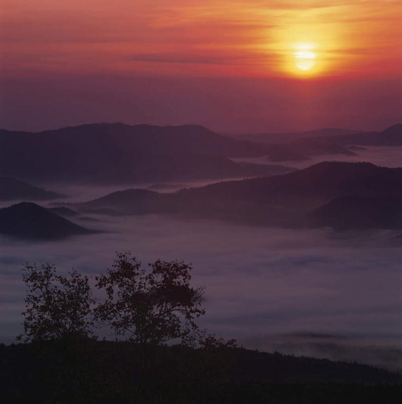 无人,方图,全景,室外,白天,正面,旅游,度假,日出,美景,山,山脉,树林,太阳,天际线,植物,北海道,日本,亚洲,许多,朦胧,模糊,地平线,景观,山峰,云,云朵,云海,辽阔,地面,朝霞,晨曦,黎明,山峦,云彩,娱乐,树,树木,蓝色,绿色,白云,蓝天,天空,阳光,自然,群山,天,享受,休闲,景色,放松,生长,晴朗,成长,一望无际,自然风光,延伸,东亚,日本国,天地相交,北海道地方,北海道岛,雄阿寒岳,朝阳,晴空,彩图,破晓
