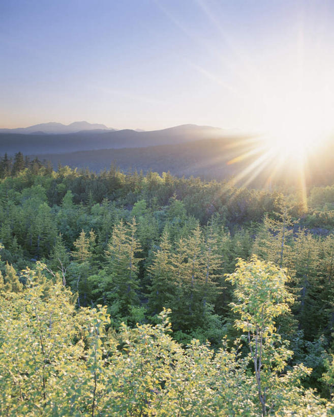 无人,竖图,全景,室外,白天,正面,旅游,度假,日出,美景,森林,山,山脉,树林,太阳,天际线,植物,北海道,日本,亚洲,朦胧,模糊,地平线,景观,山峰,辽阔,地面,朝霞,黎明,山峦,娱乐,树,树木,蓝色,绿色,蓝天,天空,阳光,自然,群山,天,享受,休闲,景色,放松,生长,晴朗,成长,一望无际,自然风光,延伸,东亚,万里无云,日本国,天地相交,北海道地方,北海道岛,美瑛町,美瑛,朝阳,晴空,晴空万里,彩图,破晓,大雪山