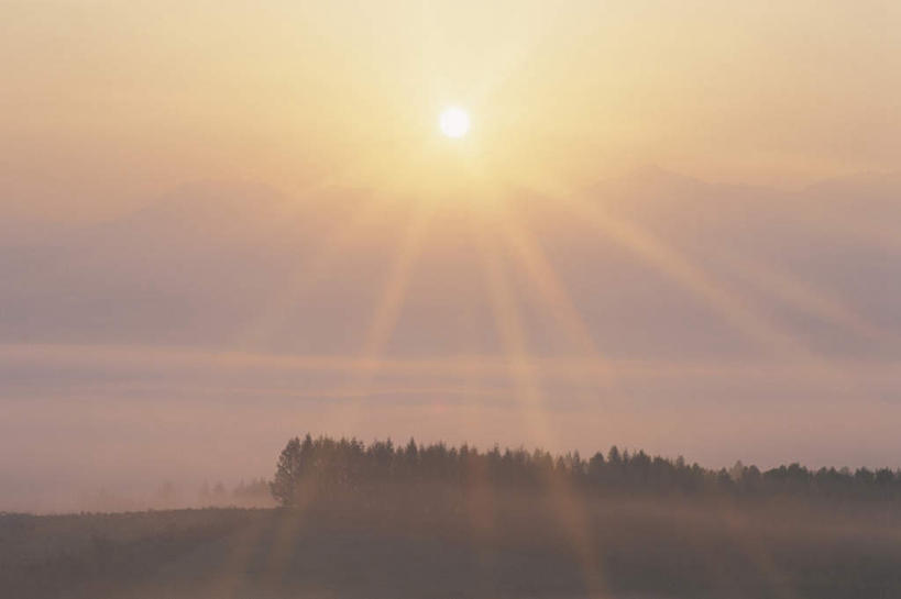无人,横图,室外,白天,正面,旅游,度假,日出,美景,森林,树林,太阳,植物,北海道,日本,亚洲,朦胧,模糊,景观,云,云朵,朝霞,晨曦,黎明,云彩,娱乐,树,树木,蓝色,绿色,白云,蓝天,天空,阳光,自然,天,享受,休闲,景色,放松,生长,晴朗,成长,自然风光,东亚,日本国,北海道地方,北海道岛,朝阳,晴空,彩图,破晓