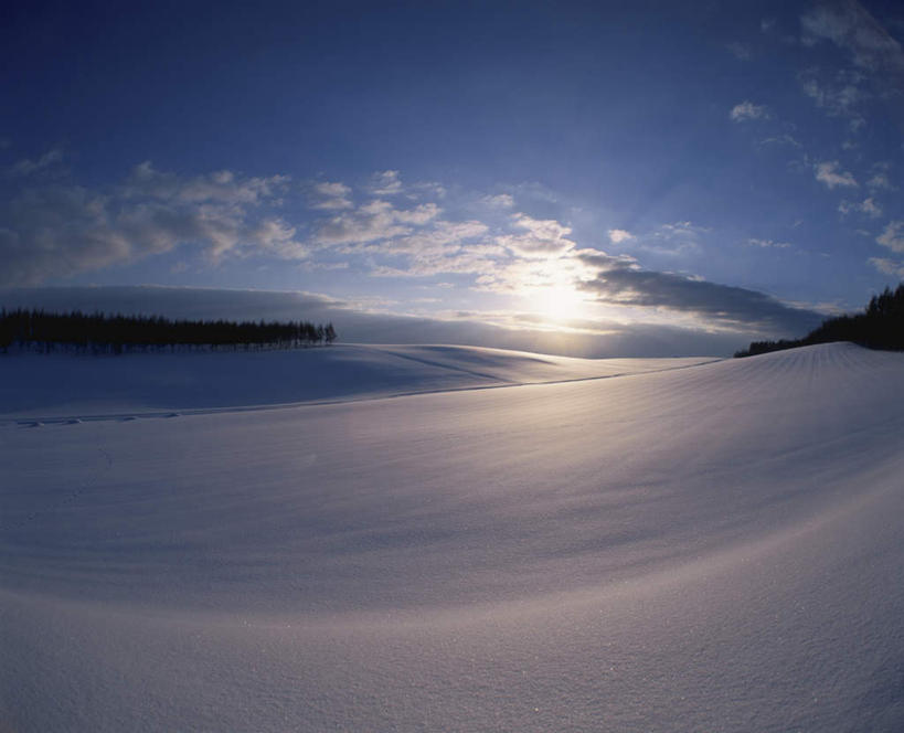 无人,横图,室外,白天,正面,广角镜头,鱼眼镜头,旅游,度假,美景,雪,大雪,北海道,日本,亚洲,朦胧,模糊,地平线,积雪,景观,雪景,云,云朵,冬季,冬天,辽阔,地面,云彩,娱乐,蓝色,白云,蓝天,天空,自然,天,享受,休闲,景色,放松,寒冷,晴朗,一望无际,自然风光,延伸,东亚,日本国,天地相交,北海道地方,北海道岛,严寒,晴空,彩图