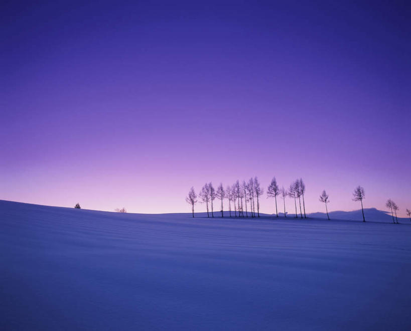 无人,横图,全景,室外,白天,正面,旅游,度假,美景,树林,天际线,雪,植物,大雪,北海道,日本,亚洲,朦胧,模糊,地平线,积雪,景观,雪景,冬季,冬天,辽阔,地面,娱乐,树,树木,蓝色,绿色,蓝天,天空,自然,天,享受,休闲,景色,放松,寒冷,生长,晴朗,成长,一望无际,自然风光,延伸,东亚,万里无云,日本国,天地相交,北海道地方,北海道岛,严寒,晴空,晴空万里,彩图