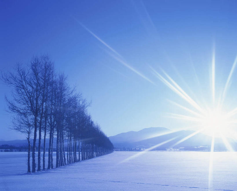 无人,横图,全景,室外,白天,正面,旅游,度假,美景,树林,天际线,雪,植物,大雪,北海道,日本,亚洲,朦胧,模糊,地平线,积雪,景观,雪景,冬季,冬天,辽阔,地面,娱乐,树,树木,蓝色,绿色,蓝天,天空,自然,天,享受,休闲,景色,放松,寒冷,生长,晴朗,成长,一望无际,自然风光,延伸,东亚,万里无云,日本国,天地相交,北海道地方,北海道岛,严寒,晴空,晴空万里,彩图