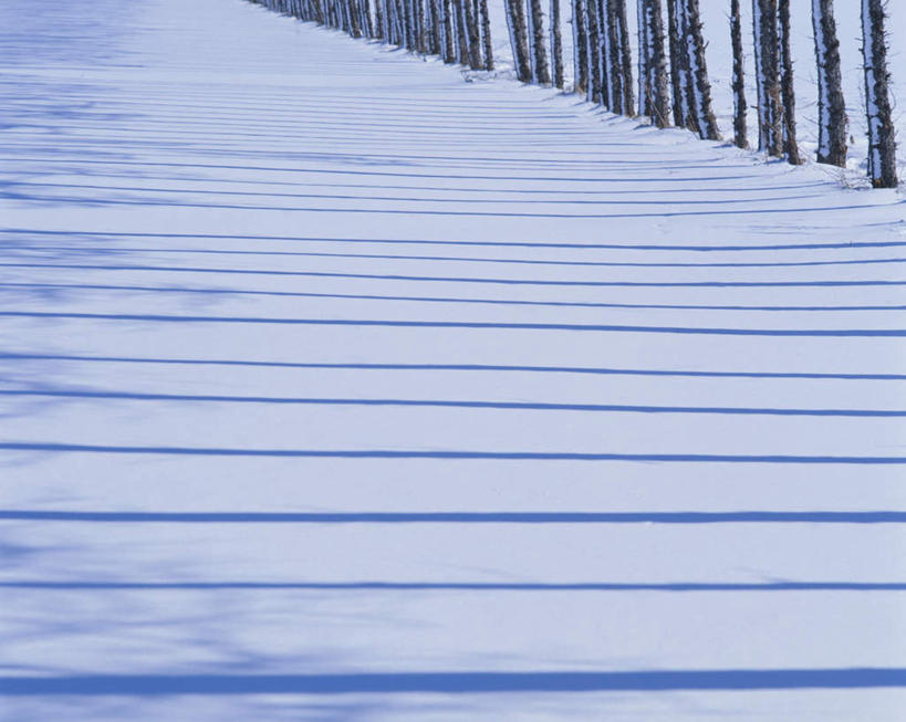无人,横图,俯视,室外,白天,旅游,度假,美景,树林,雪,植物,大雪,北海道,日本,亚洲,一排,许多,朦胧,模糊,整齐,积雪,景观,雪景,冬季,冬天,娱乐,树,树木,排列,绿色,自然,享受,休闲,景色,放松,寒冷,生长,成长,队列,自然风光,东亚,日本国,北海道地方,北海道岛,严寒,彩图,高角度拍摄