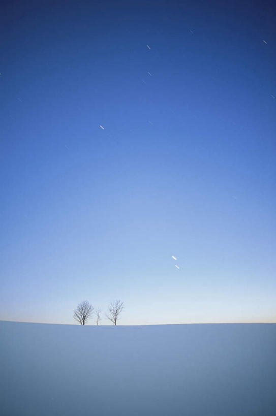 无人,竖图,全景,室外,白天,正面,旅游,度假,日出,美景,太阳,天际线,雪,植物,大雪,北海道,日本,亚洲,朦胧,模糊,地平线,积雪,景观,雪景,冬季,冬天,辽阔,地面,朝霞,晨曦,黎明,娱乐,树,树木,蓝色,绿色,蓝天,天空,阳光,自然,天,享受,休闲,景色,放松,寒冷,生长,晴朗,成长,一望无际,自然风光,延伸,东亚,万里无云,日本国,天地相交,北海道地方,北海道岛,严寒,朝阳,晴空,晴空万里,彩图,破晓