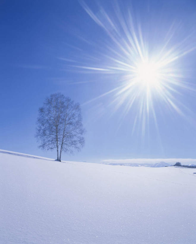 无人,竖图,全景,室外,白天,正面,旅游,度假,日出,美景,太阳,天际线,雪,植物,大雪,北海道,日本,亚洲,一棵,阴影,枯萎,朦胧,模糊,光线,影子,地平线,积雪,景观,雪景,云,云朵,冬季,冬天,辽阔,枯树,枝条,地面,朝霞,晨曦,黎明,云彩,娱乐,树,树干,树木,树枝,蓝色,绿色,白云,蓝天,天空,阳光,自然,天,享受,休闲,景色,放松,寒冷,生长,晴朗,成长,一望无际,自然风光,延伸,东亚,日本国,天地相交,北海道地方,北海道岛,严寒,朝阳,晴空,彩图,破晓