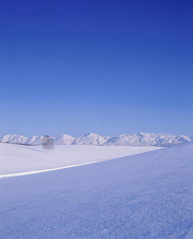 无人,竖图,全景,室外,白天,正面,旅游,度假,美景,天际线,雪,大雪,北海道,日本,亚洲,朦胧,模糊,地平线,积雪,景观,雪景,冬季,冬天,辽阔,地面,娱乐,蓝色,蓝天,天空,自然,天,享受,休闲,景色,放松,寒冷,晴朗,一望无际,自然风光,延伸,东亚,万里无云,日本国,天地相交,北海道地方,北海道岛,严寒,晴空,晴空万里,彩图