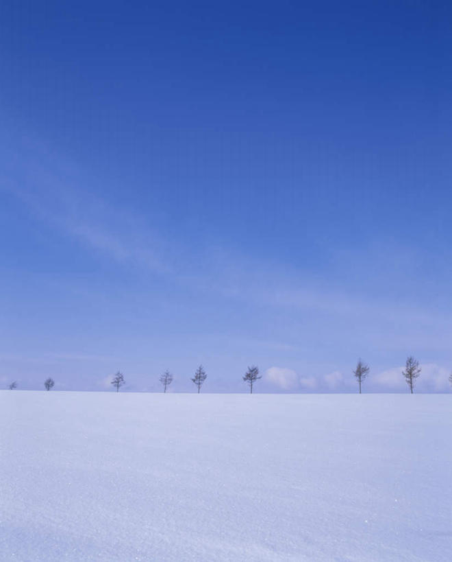 无人,竖图,全景,室外,白天,正面,旅游,度假,美景,树林,天际线,雪,植物,大雪,北海道,日本,亚洲,朦胧,模糊,地平线,积雪,景观,雪景,云,云朵,冬季,冬天,辽阔,地面,云彩,娱乐,树,树木,蓝色,绿色,白云,蓝天,天空,自然,天,享受,休闲,景色,放松,寒冷,生长,晴朗,成长,一望无际,自然风光,延伸,东亚,日本国,天地相交,北海道地方,北海道岛,严寒,晴空,彩图