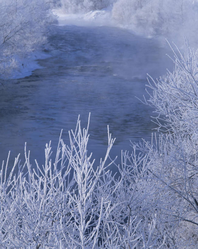 无人,竖图,俯视,航拍,室外,白天,旅游,度假,美景,山,山脉,树林,雪,植物,大雪,北海道,日本,亚洲,朦胧,模糊,积雪,景观,山峰,雪景,冬季,冬天,山峦,娱乐,树,树木,绿色,天空,自然,群山,天,享受,休闲,景色,放松,寒冷,生长,成长,鸟瞰,自然风光,东亚,日本国,北海道地方,北海道岛,严寒,彩图,高角度拍摄