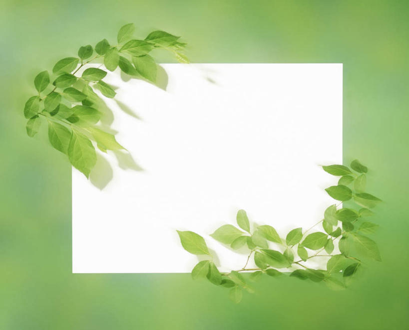 无人,横图,俯视,室内,白天,数码,科技,叶子,一张,绿色背景,阴影,朦胧,模糊,反射,网络,影子,纸,绿叶,高光,几何,计算机图形,合成,白纸,嫩叶,电脑合成图,数码合成图,写实,具体,具象,叶,叶片,彩图,高角度拍摄