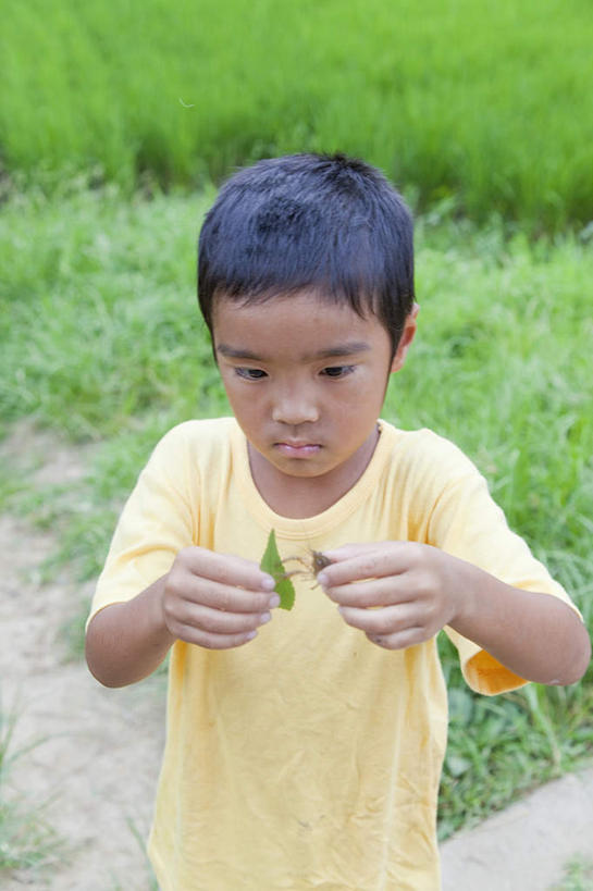 东方人,儿童,一个人,农田,站,举,竖图,俯视,室外,白天,纯洁,庄稼,农作物,亚洲,仅一个男性,仅一个人,握,朦胧,模糊,昆虫,拿,拿着,注视,黄种人,一个,小孩,动物,观察,看,托,站着,仅一个小孩,可爱,童年,童趣,握着,单个,观看,察看,关注,益虫,童真,烂漫,无邪,天真,男孩,男人,男性,亚洲人,孩子,举起,举手,举着,向上举,向上伸,向上托,站立,半身,彩图,高角度拍摄,耕地,庄稼田,男生