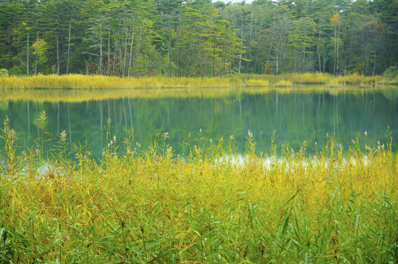 无人,横图,室外,白天,正面,旅游,草地,草坪,河流,美景,树林,水,植物,日本,亚洲,朦胧,模糊,河水,景观,水流,草,树,树木,蓝色,绿色,蓝天,天空,自然,天,景色,生长,晴朗,成长,自然风光,东亚,本州,万里无云,本州岛,日本国,东北地方,福岛,福岛县,晴空,晴空万里,彩图,游览