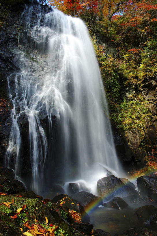 无人,竖图,室外,白天,正面,旅游,彩虹,草地,草坪,礁石,石头,美景,瀑布,树林,水,植物,叶子,日本,亚洲,飞溅,朦胧,模糊,溅,石子,液体,景观,水滴,枯叶,落叶,千叶县,水珠,草,树,树木,绿色,自然,景色,生长,成长,喷洒,自然风光,东亚,本州,关东地方,本州岛,日本国,千叶,叶,叶片,跌水,礁,石块,岩石,虹,虹桥,七彩虹,天虹,彩图,游览