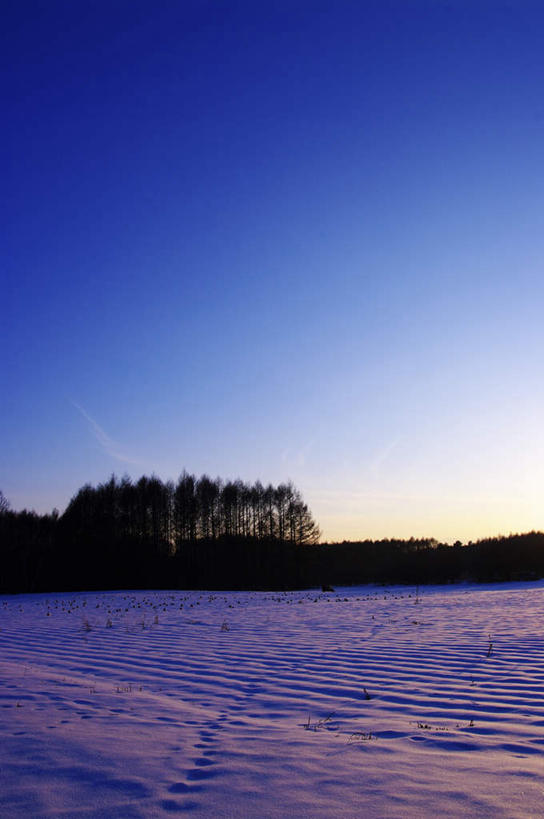 无人,竖图,室外,白天,仰视,旅游,美景,日落,树林,雪,植物,大雪,长野县,日本,亚洲,朦胧,模糊,积雪,景观,晚霞,霞光,雪景,冬季,冬天,树,树木,蓝色,绿色,蓝天,天空,自然,黄昏,天,景色,彩霞,寒冷,生长,晴朗,成长,自然风光,东亚,本州,万里无云,本州岛,日本国,中部地方,长野,严寒,晴空,晴空万里,夕阳,彩图,低角度拍摄,游览