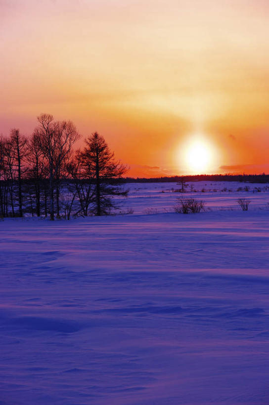 无人,竖图,俯视,室外,白天,旅游,度假,日出,美景,太阳,雪,植物,大雪,日本,亚洲,积雪,景观,雪景,云,云朵,冬季,冬天,朝霞,晨曦,黎明,云彩,娱乐,树,树木,蓝色,绿色,白云,蓝天,天空,阳光,自然,天,享受,休闲,景色,放松,寒冷,生长,成长,自然风光,东亚,本州,本州岛,日本国,近畿地方,近畿,滋贺,滋贺县,严寒,朝阳,彩图,高角度拍摄,破晓