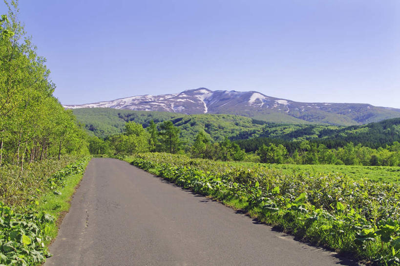 无人,农田,横图,室外,白天,正面,旅游,度假,庄稼,农作物,草地,草坪,美景,森林,山,山脉,树林,植物,道路,路,北海道,日本,亚洲,阴影,光线,影子,景观,山峰,云,云朵,小路,交通,山峦,云彩,娱乐,草,树,树木,蓝色,绿色,白云,蓝天,天空,阳光,自然,群山,天,享受,休闲,景色,放松,乡间小路,生长,成长,自然风光,东亚,日本国,北海道地方,北海道岛,彩图,耕地,庄稼田