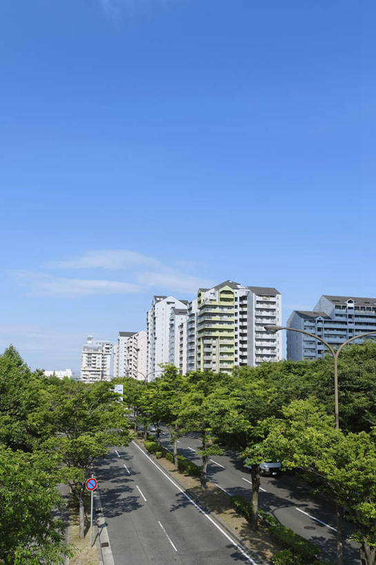 无人,高楼大厦,竖图,俯视,室外,白天,旅游,度假,草地,草坪,美景,植物,大厦,道路,建筑,路,摩天大楼,公路,日本,亚洲,一排,阴影,整齐,光线,影子,景观,云,云朵,分界线,停车线,交通,云彩,娱乐,草,树,树木,排列,蓝色,绿色,白云,蓝天,天空,阳光,自然,天,享受,休闲,景色,放松,生长,成长,车行道,车行道分界线,队列,自然风光,标线,东亚,车行线,本州,本州岛,日本国,近畿地方,近畿,兵库,兵库县,马路,彩图,高角度拍摄,大楼,高层建筑,高楼,摩天楼