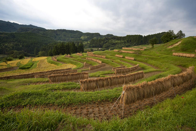 无人,农田,横图,室外,白天,正面,旅游,度假,农业,庄稼,农作物,草地,草坪,石头,美景,山,山脉,植物,日本,亚洲,许多,吊挂,悬挂,丰收,石子,稻田,景观,山顶,山峰,云,云朵,干草,山峦,千叶县,云彩,娱乐,草,树,树木,蓝色,绿色,白云,蓝天,天空,自然,群山,天,享受,休闲,景色,放松,生长,收获,晴朗,成长,自然风光,东亚,沉积岩,本州,关东地方,本州岛,日本国,千叶,颠峰,极峰,水成岩,石块,岩石,晴空,彩图,耕地,庄稼田