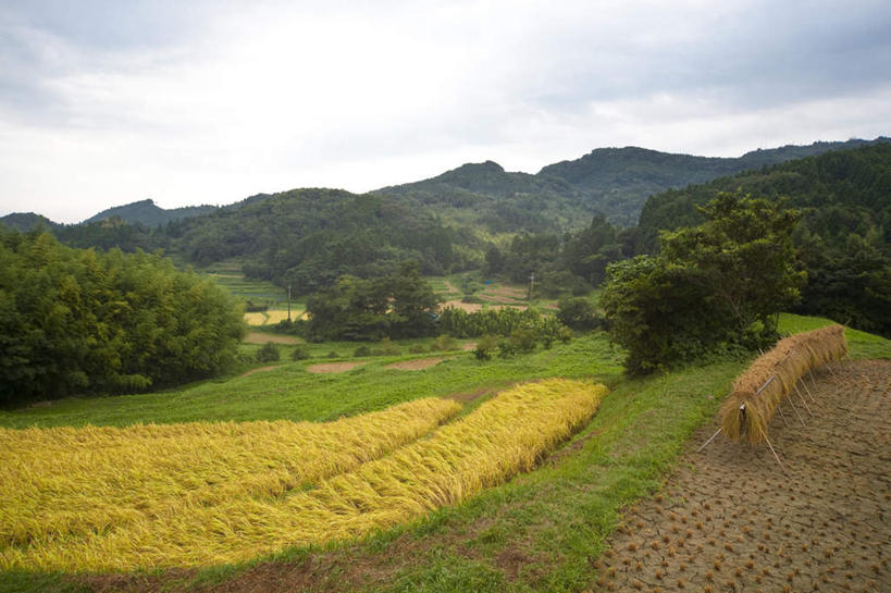 无人,农田,横图,室外,白天,正面,旅游,度假,庄稼,农作物,草地,石头,美景,山,山脉,植物,日本,亚洲,许多,吊挂,悬挂,石子,景观,山顶,山峰,云,云朵,干草,山峦,千叶县,云彩,娱乐,草,树,树木,蓝色,绿色,白云,蓝天,天空,自然,群山,天,享受,休闲,景色,放松,生长,晴朗,成长,自然风光,东亚,沉积岩,本州,关东地方,本州岛,日本国,千叶,颠峰,极峰,水成岩,石块,岩石,晴空,彩图,耕地,庄稼田