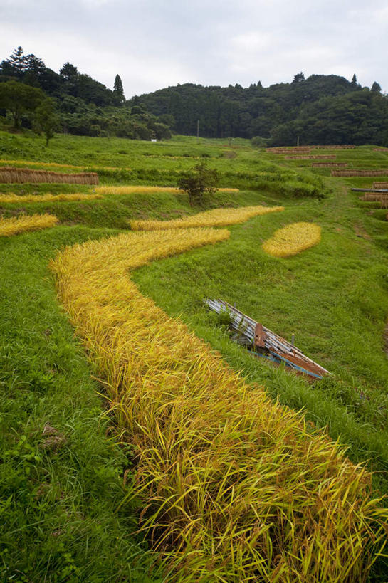 无人,农田,竖图,室外,白天,正面,旅游,度假,庄稼,农作物,草地,石头,美景,山,山脉,植物,日本,亚洲,石子,景观,山顶,山峰,云,云朵,山峦,千叶县,云彩,娱乐,草,树,树木,蓝色,绿色,白云,蓝天,天空,自然,群山,天,享受,休闲,景色,放松,生长,晴朗,成长,自然风光,东亚,沉积岩,本州,关东地方,本州岛,日本国,千叶,颠峰,极峰,水成岩,石块,岩石,晴空,彩图,耕地,庄稼田
