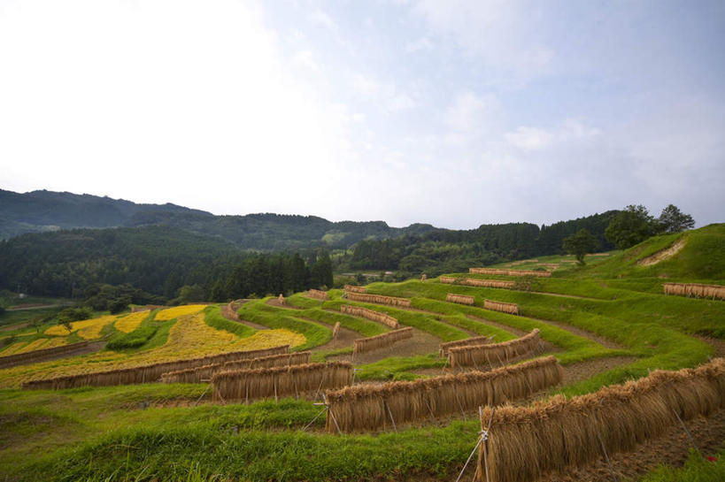 无人,农田,横图,室外,白天,正面,旅游,度假,庄稼,农作物,草地,石头,美景,山,山脉,植物,日本,亚洲,许多,吊挂,悬挂,石子,景观,山顶,山峰,云,云朵,干草,山峦,千叶县,云彩,娱乐,草,树,树木,蓝色,绿色,白云,蓝天,天空,自然,群山,天,享受,休闲,景色,放松,生长,晴朗,成长,自然风光,东亚,沉积岩,本州,关东地方,本州岛,日本国,千叶,颠峰,极峰,水成岩,石块,岩石,晴空,彩图,耕地,庄稼田
