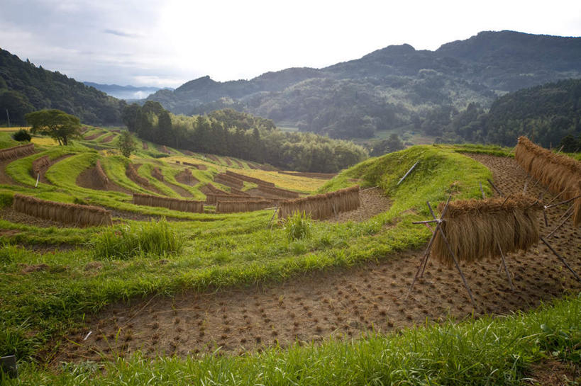 无人,农田,横图,室外,白天,正面,旅游,度假,庄稼,农作物,草地,石头,美景,山,山脉,植物,日本,亚洲,许多,吊挂,悬挂,石子,景观,山顶,山峰,云,云朵,干草,山峦,千叶县,云彩,娱乐,草,树,树木,蓝色,绿色,白云,蓝天,天空,自然,群山,天,享受,休闲,景色,放松,生长,晴朗,成长,自然风光,东亚,沉积岩,本州,关东地方,本州岛,日本国,千叶,颠峰,极峰,水成岩,石块,岩石,晴空,彩图,耕地,庄稼田
