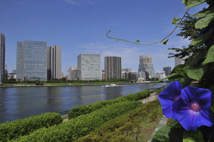 无人,高楼大厦,横图,全景,室外,白天,正面,爱情,度假,办公楼,草地,草坪,海浪,海洋,美景,天际线,植物,城市风光,城市,大厦,建筑,轮船,摩天大楼,写字楼,船,喇叭花,叶子,东京,日本,亚洲,波纹,飞溅,盛开,溅,液体,景观,浪花,水滴,云,云朵,建筑群,绿叶,涟漪,花蕾,云彩,娱乐,建设,水珠,草,花,花瓣,花朵,鲜花,树,树木,两朵,蓝色,绿色,白云,蓝天,水纹,天空,自然,海水,船尾波,楼宇,交通工具,波浪,天,花苞,花蕊,享受,休闲,嫩叶,商务楼,景色,放松,生长,晴朗,成长,虚幻,喷洒,载具,海景,东亚,本州,关东地方,本州岛,日本国,东京都,水晕,永恒,牵牛,牵牛子,勤娘子,碧冬茄,朝颜花,灵芝牡丹,隅田川,冷静,牵牛花,叶,叶片,大海,风浪,海,海水的波动,近岸浪,涌浪,晴空,彩图,大楼,高层建筑,高楼,摩天楼