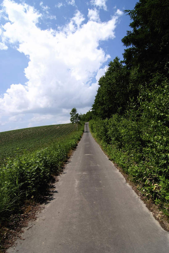 无人,竖图,室外,白天,正面,旅游,度假,草地,草坪,美景,植物,道路,路,北海道,日本,亚洲,一堆,阴影,堆叠,堆积,光线,影子,景观,云,云朵,小路,交通,云彩,娱乐,草,树,树木,蓝色,绿色,白云,蓝天,天空,阳光,自然,天,享受,休闲,景色,放松,乡间小路,生长,成长,堆,自然风光,东亚,日本国,北海道地方,北海道岛,彩图