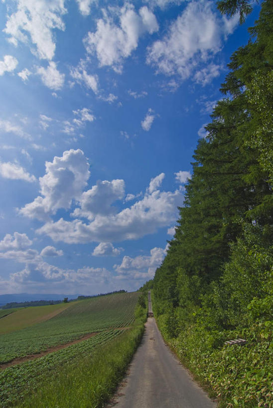 无人,农田,竖图,室外,白天,正面,旅游,度假,庄稼,农作物,草地,草坪,美景,植物,道路,路,蔬菜,北海道,日本,亚洲,一堆,阴影,堆叠,堆积,新鲜,光线,影子,景观,云,云朵,小路,食品,交通,云彩,娱乐,草,树,树木,食物,蓝色,绿色,白云,蓝天,天空,阳光,自然,天,享受,休闲,景色,放松,有机食品,绿色食品,乡间小路,生长,成长,堆,自然风光,东亚,日本国,北海道地方,北海道岛,彩图,耕地,庄稼田