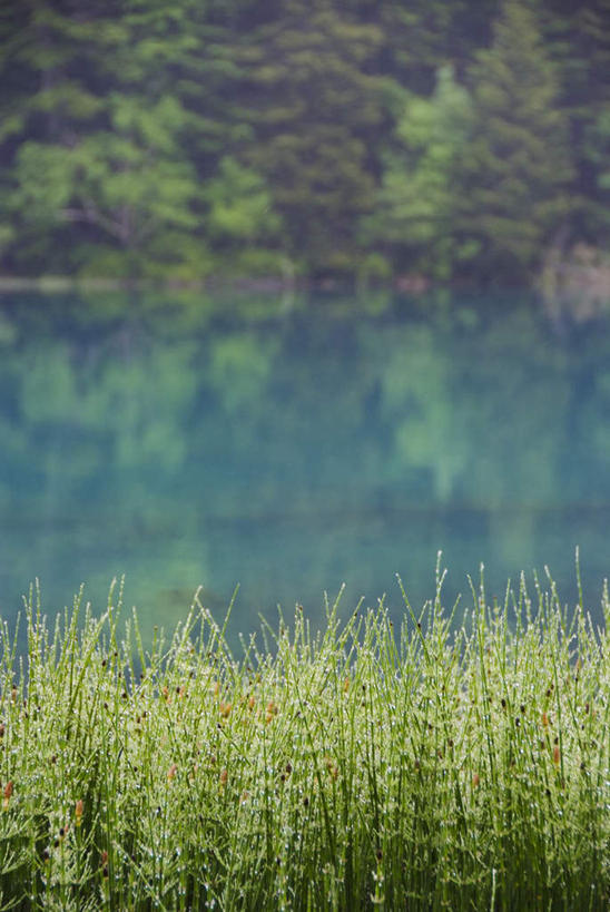无人,竖图,俯视,室外,白天,旅游,度假,草地,草坪,湖,湖泊,美景,水,植物,北海道,日本,亚洲,阴影,光线,影子,湖面,景观,水流,水面,娱乐,草,树,树木,绿色,倒影,阳光,自然,湖水,享受,休闲,景色,放松,生长,成长,倒映,自然风光,东亚,日本国,北海道地方,北海道岛,反照,彩图,高角度拍摄