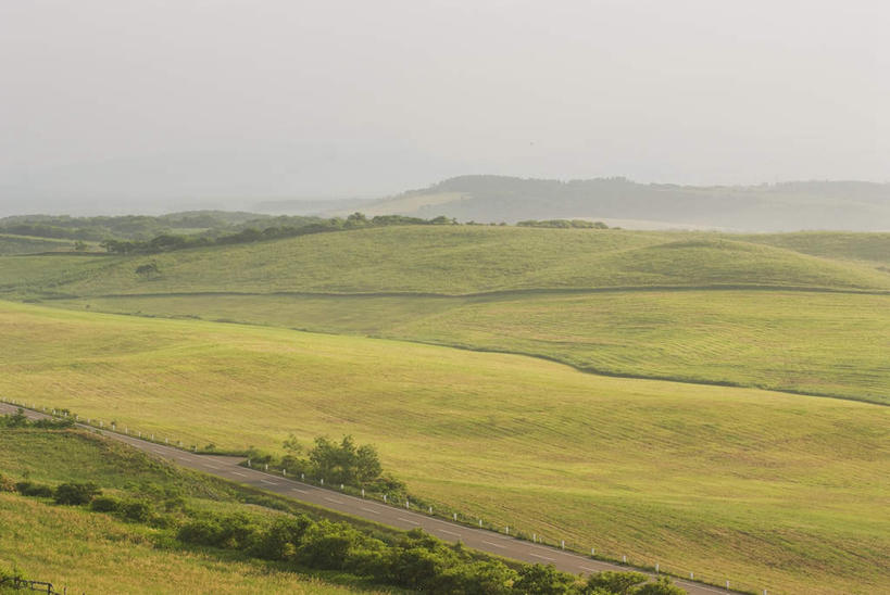 无人,农田,横图,俯视,室外,白天,旅游,度假,庄稼,农作物,草地,草坪,美景,山,山脉,植物,道路,路,北海道,日本,亚洲,一堆,阴影,堆叠,堆积,光线,影子,景观,山峰,云,云朵,小路,交通,山峦,云彩,娱乐,草,树,树木,蓝色,绿色,白云,蓝天,天空,阳光,自然,群山,天,享受,休闲,景色,放松,乡间小路,生长,成长,堆,自然风光,东亚,日本国,北海道地方,北海道岛,彩图,高角度拍摄,耕地,庄稼田