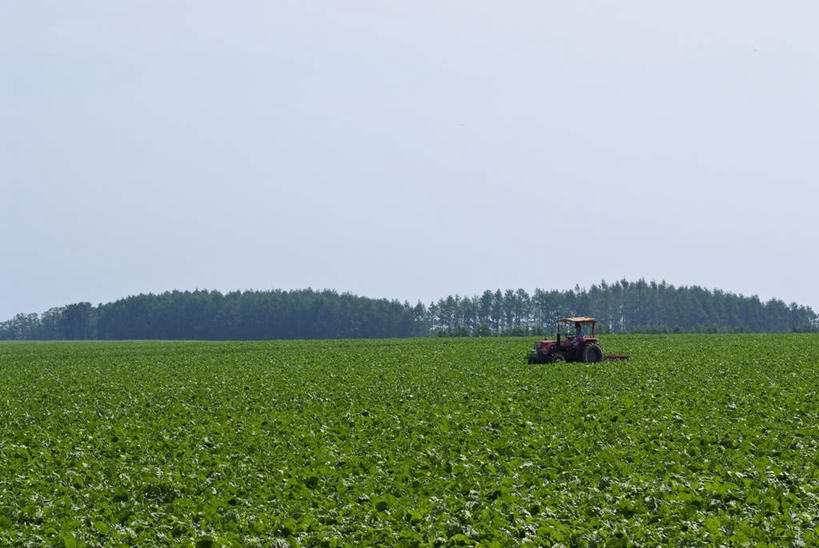 农田,横图,室外,白天,侧面,旅游,度假,农业,庄稼,农作物,草地,草坪,美景,植物,汽车,蔬菜,北海道,日本,亚洲,一辆,阴影,新鲜,光线,影子,景观,云,云朵,食品,云彩,娱乐,车,草,树,树木,食物,蓝色,绿色,白云,蓝天,天空,阳光,自然,交通工具,天,驾驶,行驶,享受,休闲,机械,景色,放松,有机食品,绿色食品,生长,成长,操纵,控制,自然风光,载具,拖拉机,东亚,操控,日本国,北海道地方,北海道岛,把持,交通运输,农用机械,彩图,全身,耕地,庄稼田