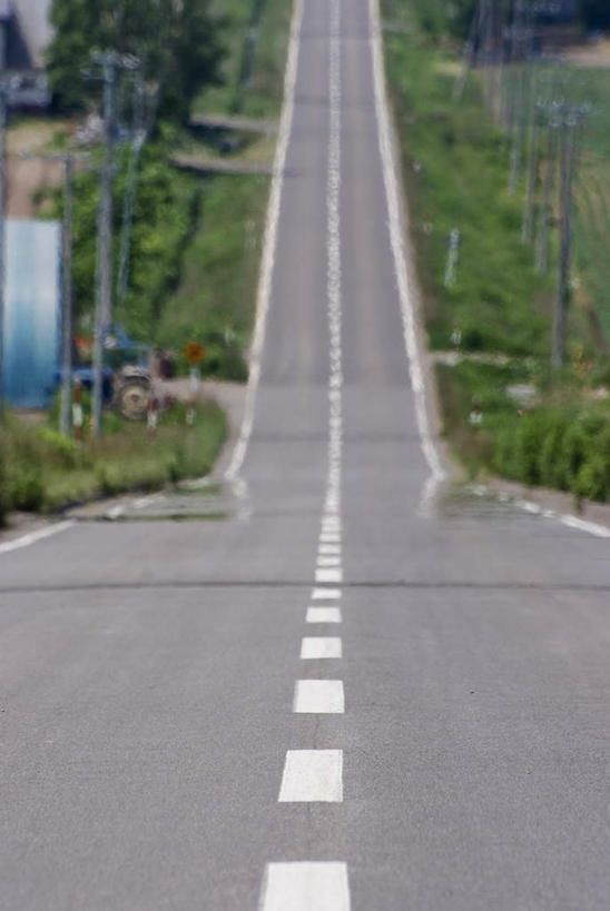 无人,家,竖图,俯视,室外,白天,旅游,度假,草地,草坪,美景,植物,道路,路,北海道,日本,亚洲,阴影,光线,影子,房屋,屋子,景观,小路,分界线,停车线,交通,娱乐,楼房,住宅,草,树,树木,绿色,白色,阳光,自然,享受,休闲,景色,放松,乡间小路,生长,成长,车行道,车行道分界线,自然风光,标线,东亚,车行线,日本国,北海道地方,北海道岛,彩图,高角度拍摄,房子