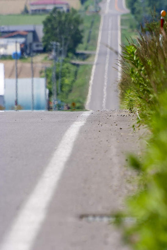 无人,家,竖图,俯视,室外,白天,旅游,度假,草地,草坪,美景,植物,道路,路,北海道,日本,亚洲,阴影,朦胧,模糊,光线,影子,房屋,屋子,景观,小路,分界线,停车线,交通,娱乐,楼房,住宅,草,树,树木,绿色,白色,阳光,自然,享受,休闲,景色,放松,乡间小路,生长,成长,车行道,车行道分界线,自然风光,标线,东亚,车行线,日本国,北海道地方,北海道岛,彩图,高角度拍摄,房子