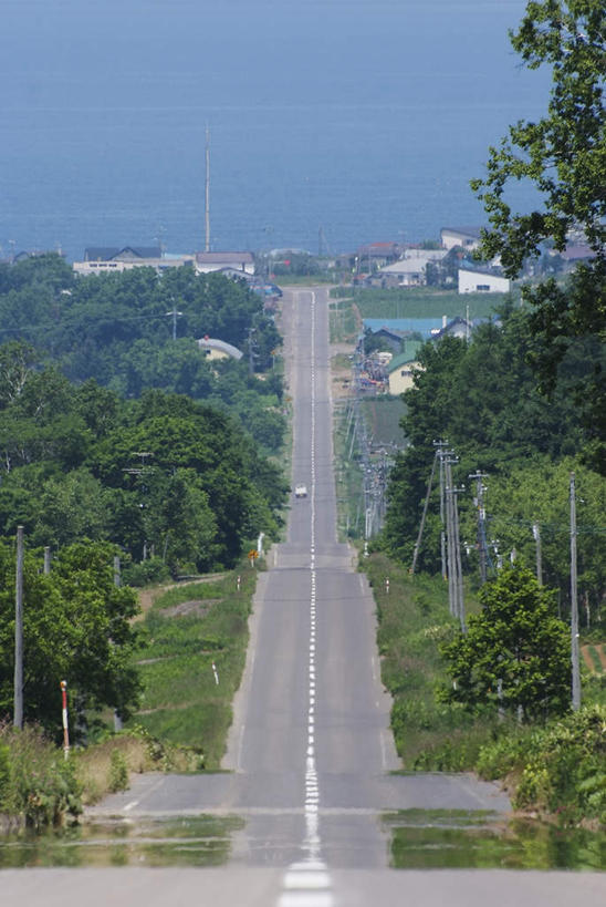 无人,农田,竖图,俯视,室外,白天,旅游,度假,庄稼,农作物,草地,草坪,美景,植物,道路,路,北海道,日本,亚洲,阴影,电力,光线,电线,线,影子,景观,小路,分界线,电能,停车线,交通,线路,娱乐,草,树,树木,绿色,白色,阳光,自然,享受,休闲,景色,放松,乡间小路,生长,成长,电,车行道,车行道分界线,电源,电源线,自然风光,标线,能量,东亚,车行线,日本国,北海道地方,北海道岛,彩图,高角度拍摄,耕地,庄稼田