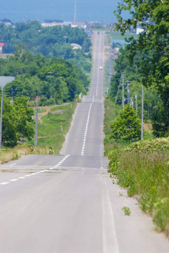 无人,农田,竖图,俯视,室外,白天,旅游,度假,庄稼,农作物,草地,草坪,美景,植物,道路,路,北海道,日本,亚洲,阴影,电力,光线,电线,线,影子,景观,小路,分界线,电能,停车线,交通,线路,娱乐,草,树,树木,绿色,白色,阳光,自然,享受,休闲,景色,放松,乡间小路,生长,成长,电,车行道,车行道分界线,电源,电源线,自然风光,标线,能量,东亚,车行线,日本国,北海道地方,北海道岛,彩图,高角度拍摄,耕地,庄稼田