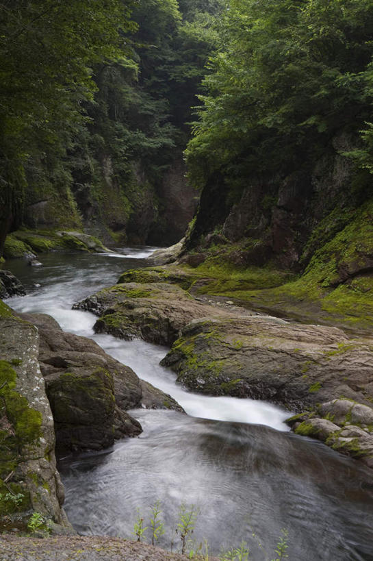 无人,竖图,俯视,室外,白天,旅游,度假,草地,草坪,河流,礁石,石头,美景,水,植物,日本,亚洲,阴影,光线,石子,影子,河水,景观,水流,娱乐,草,树,树木,绿色,小溪,阳光,自然,溪水,享受,休闲,景色,放松,生长,成长,自然风光,东亚,本州,关东地方,本州岛,日本国,群马,群马县,礁,石块,岩石,彩图,高角度拍摄